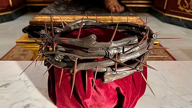 La corona de espinas, vista desde un primer plano