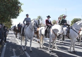 Los caballos vuelven a lucir al sol de un día único en las calles de Córdoba