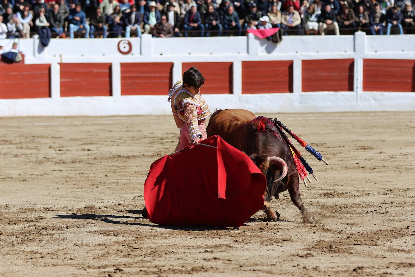 El triunfo de Manuel Román en su debú con picadores, en imágenes