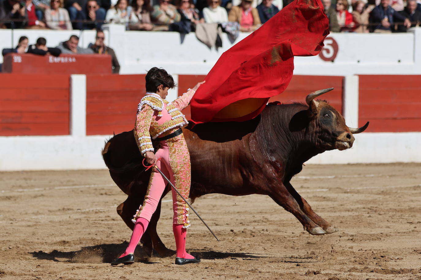 El triunfo de Manuel Román en su debú con picadores, en imágenes