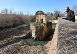 Video | La limpieza recupera el lustre de los Sotos de la Albolafia en Córdoba