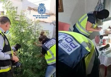 Desmantelan un punto de venta de droga conocido como 'telecoca' con camellos en bicicleta y patinete