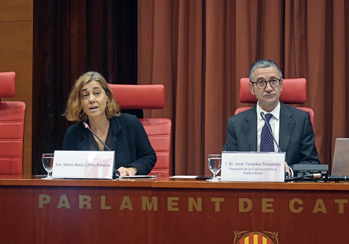 Maria Jesús Larios, hoy, durante su intervención en la Comisión de Asuntos Institucionales, junto al presidente de la comisión, Jordi Terrades
