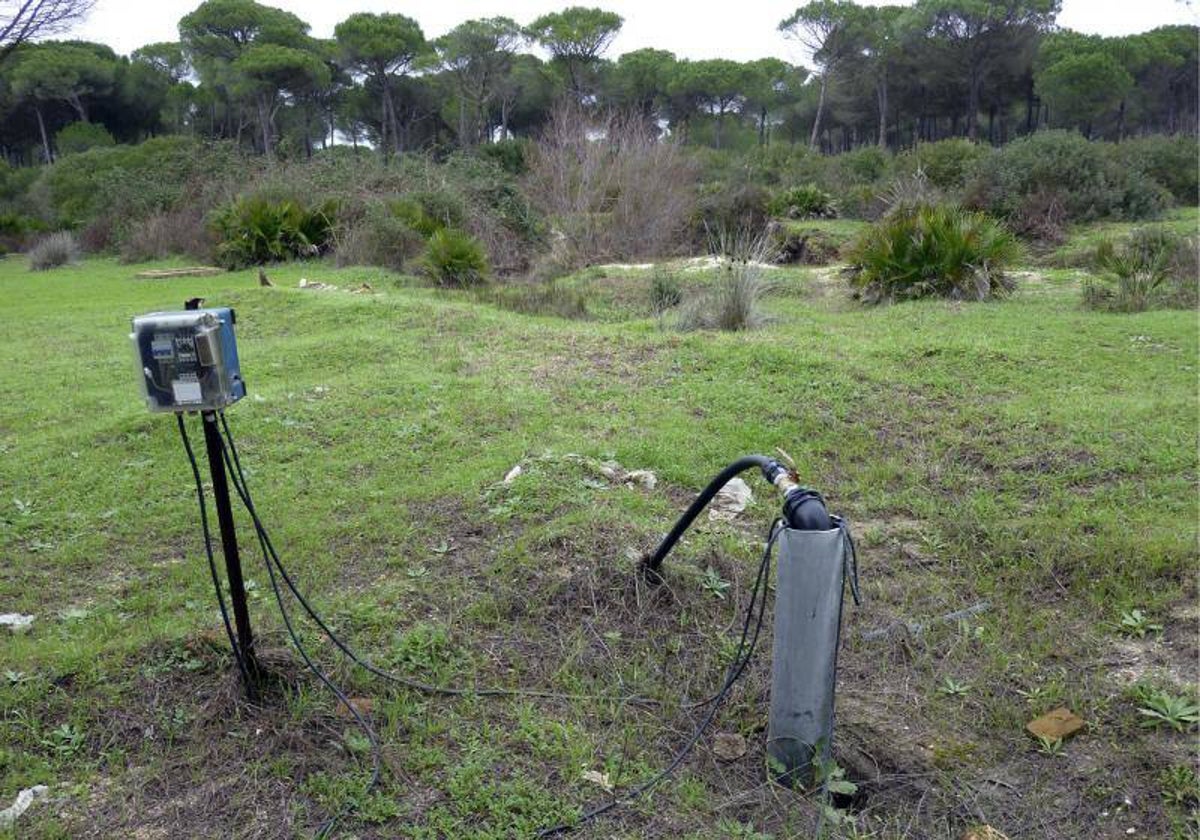 Un pozo ilegal en la comarca de Doñana