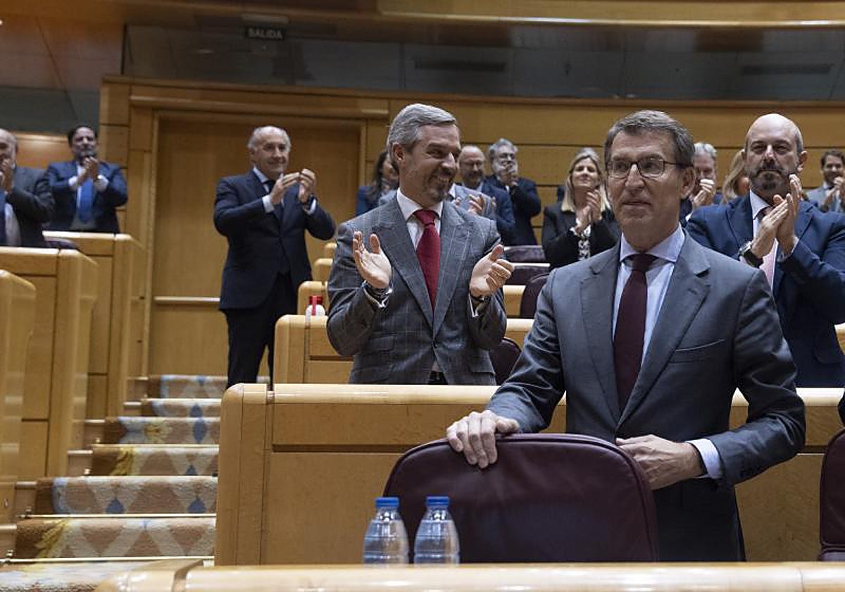 El presidente del PP, Alberto Núñez Feijóo, en el Senado