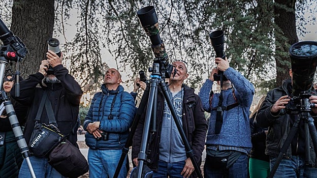 Un  grupo de aficionados, ayer, toma fotos a loso búhos en el Retiro, al atardecer