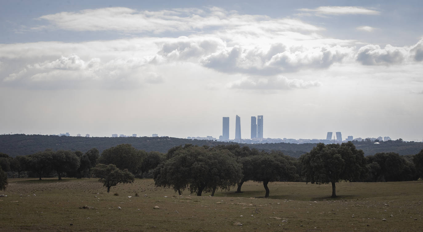El Monte de El Pardo, un vergel en plena capital de España