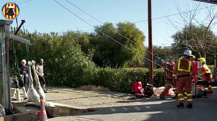 El vídeo del delicado rescate de un caballo en una acequia donde se quedó patas arriba