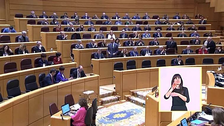 PP a PSOE: "Quieren abolir la prostitución y por la noche la consumen"