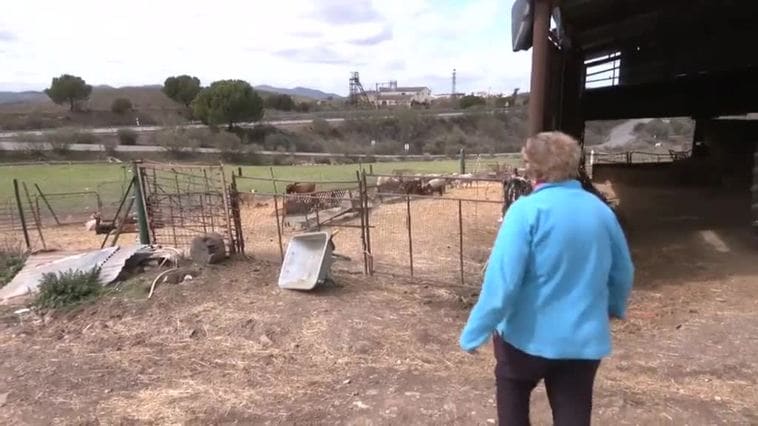 La sequía lleva al límite a agricultores y ganaderos en el norte de Córdoba