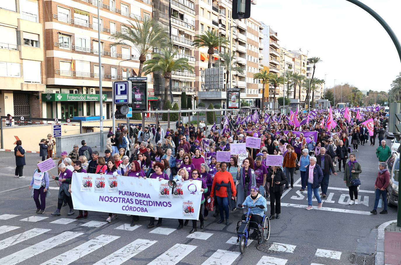La reivindicativa manifestación del 8-M en Córdoba, en imágenes