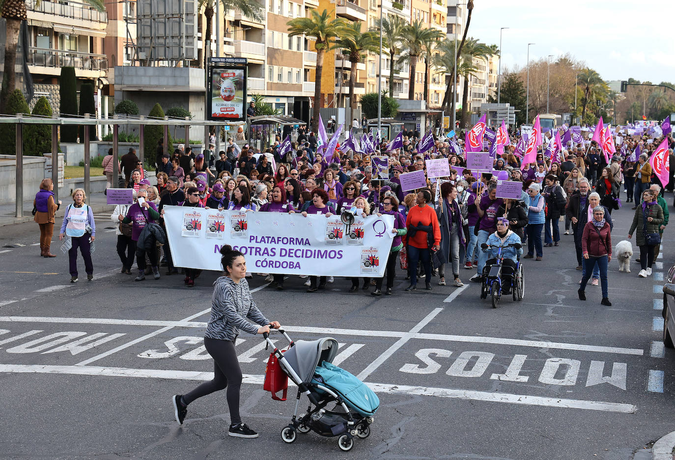 La reivindicativa manifestación del 8-M en Córdoba, en imágenes