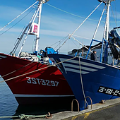 El sector pesquero reclama la dimisión de la ministra Ribera y la retirada de los POEM