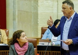 Podemos e IU deshielan su relación en Por Andalucía