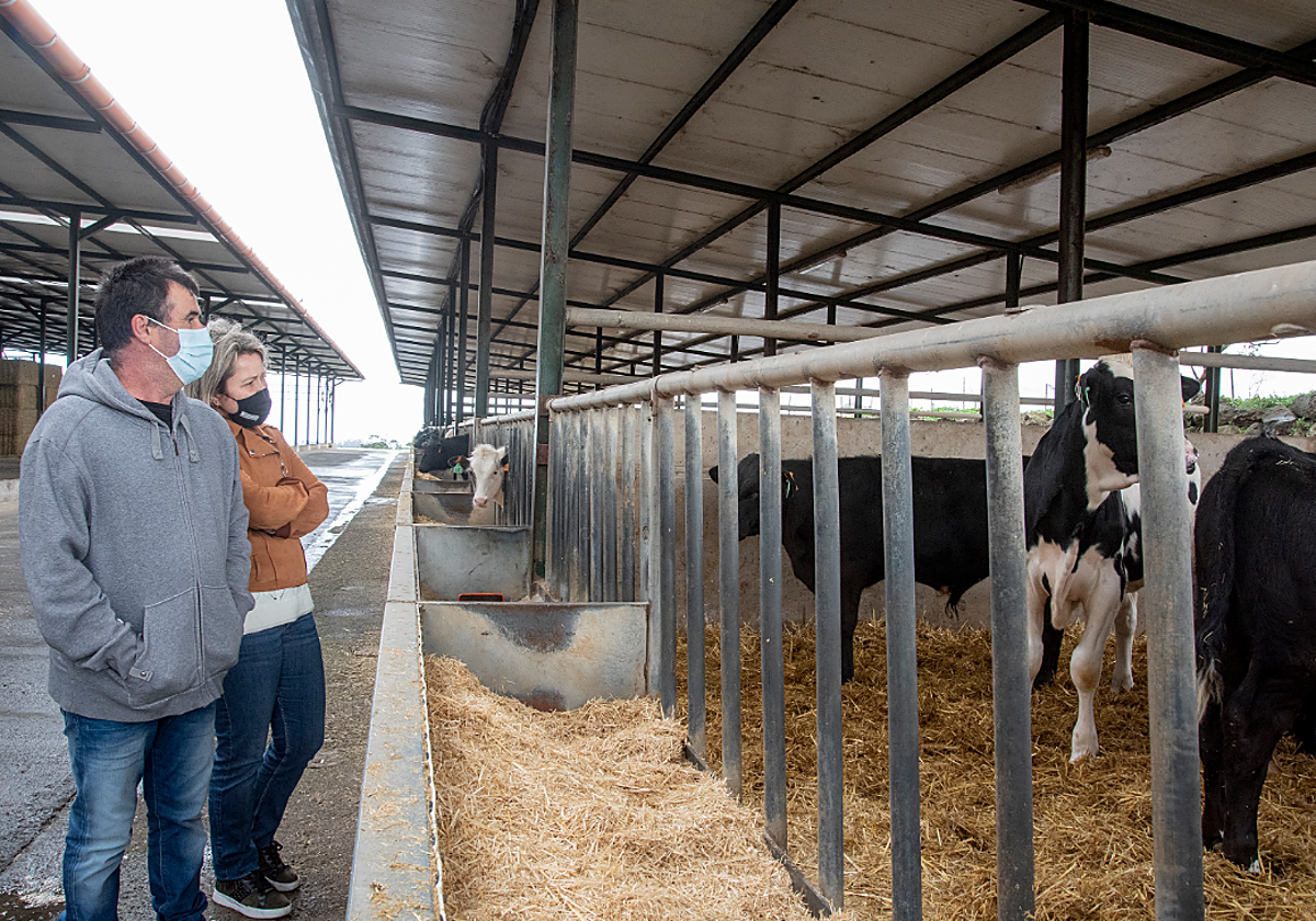 Alicia Vanoostende visita una explotación ganadera en foto de archivo