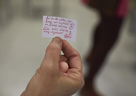 Imagen secundaria 1 - Una de las pacientes simula que está en la consulta del veterinario con la perra; una de las notas en las que agradecen la presencia de la perra Lía; y el termómetro de las emociones, donde al terminar la sesión siempre se muestran más relajados y contentos 