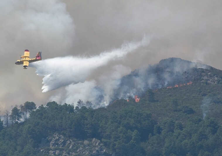 Activada la alerta por incendios forestales en Vizcaya y Guipúzcoa