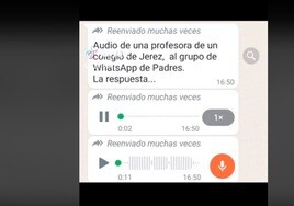 El audio que no tiene desperdicio: la maestra de Jerez que quiere abolir el Día del Padre