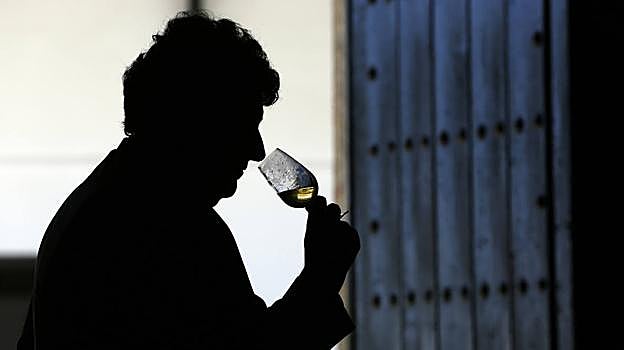 Imagen de una cata de vino en Bodegas Alvear