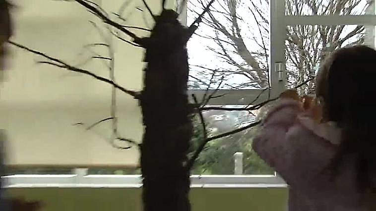 La escuela rural de Vilagarcía de Arousa a punto de cerrar si no consigue un alumno más