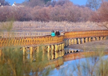 Ribera, preocupada por Las Tablas de Daimiel, pero cree que un trasvase debe ser «excepcional»