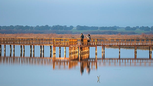 Ribera, preocupada por Las Tablas de Daimiel, pero cree que un trasvase debe ser «excepcional»