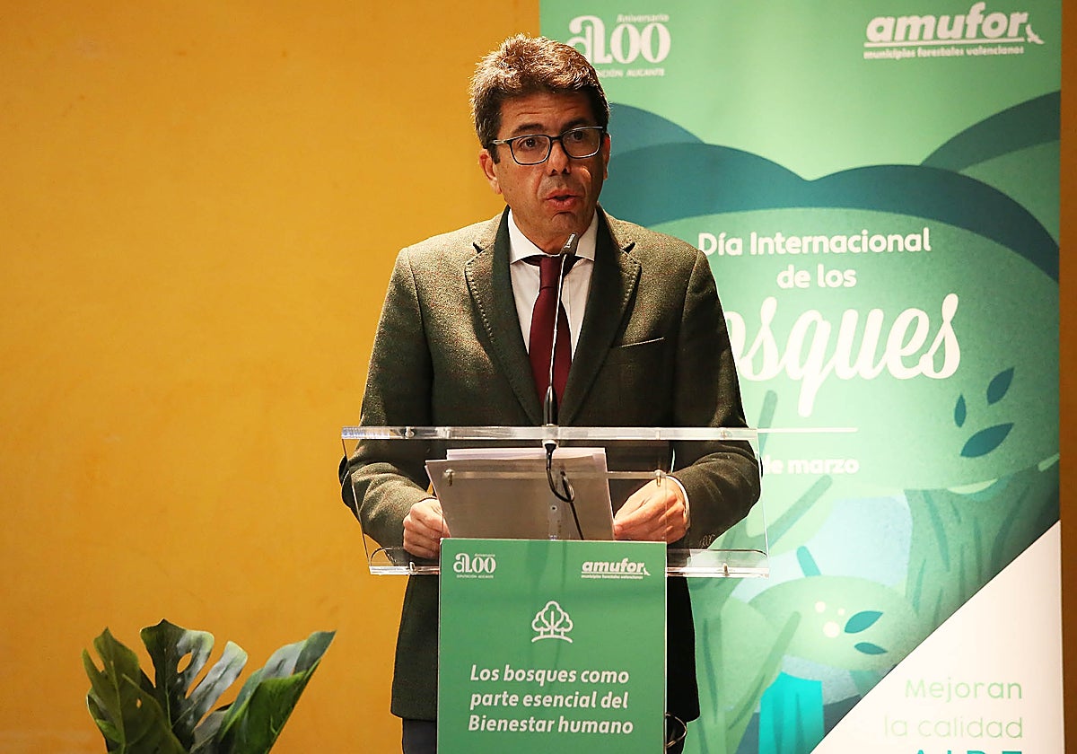 El presidente de la Diputación de Alicante, Carlos Mazón, en la jornada celebrada en el Marq.