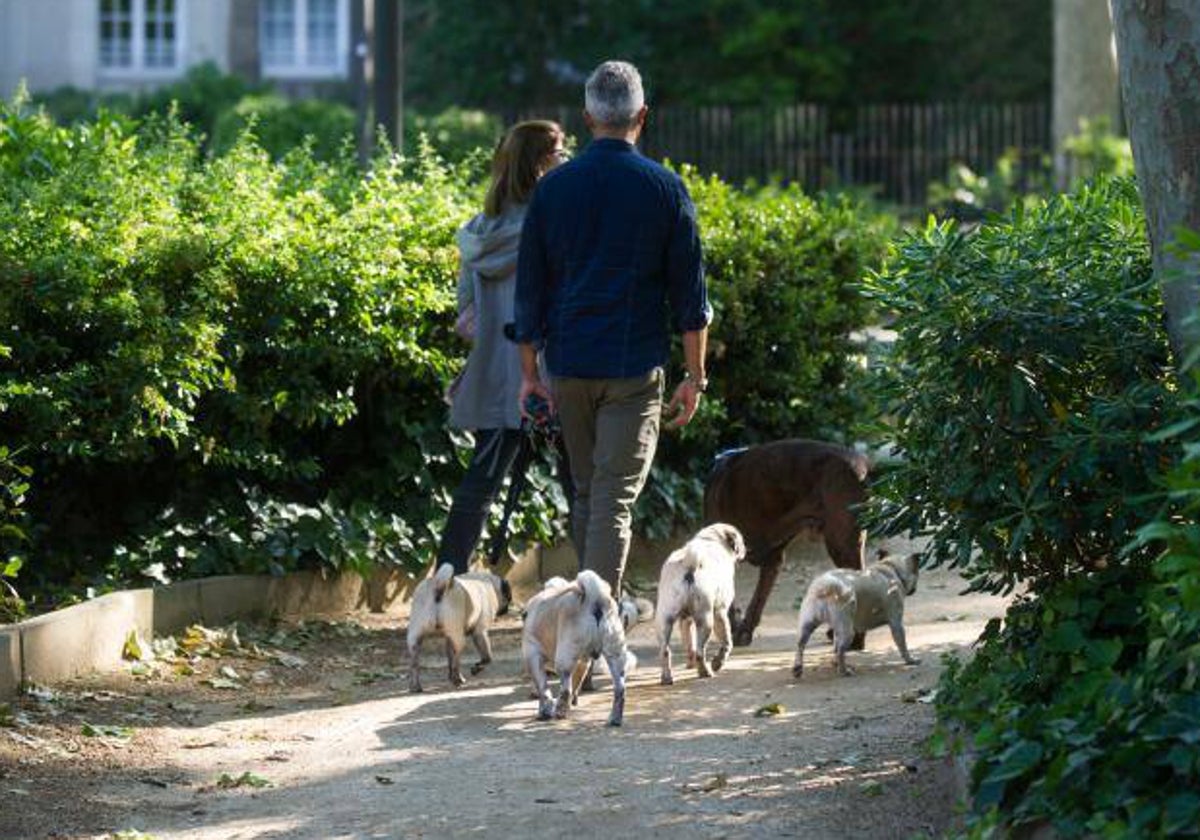 Priopietarios, paseando perros en un parque de Barcelona, en una imagen de archivo