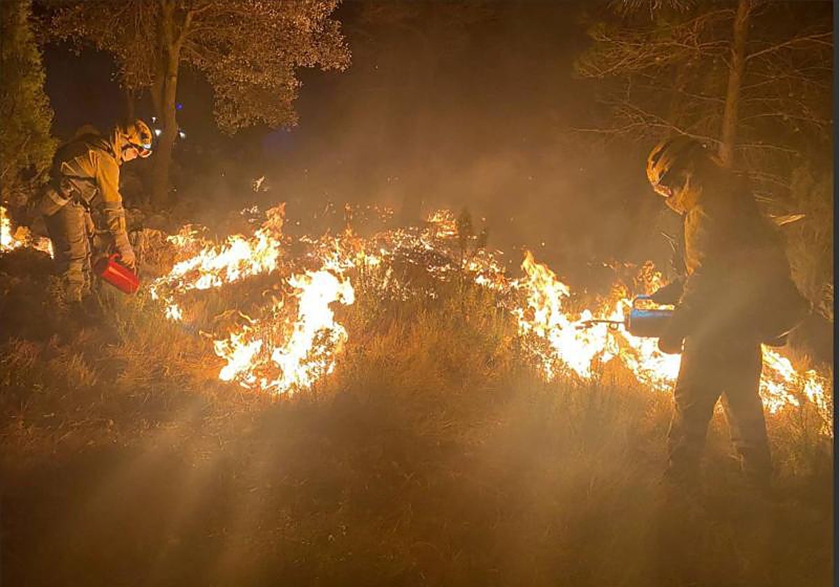 Tareas de extinción del incendio en Castellón, este sábado