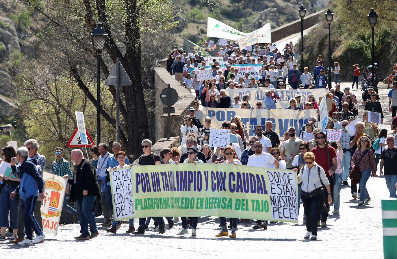 El éxito de la manifestación de Toledo en defensa del Tajo, en imágenes
