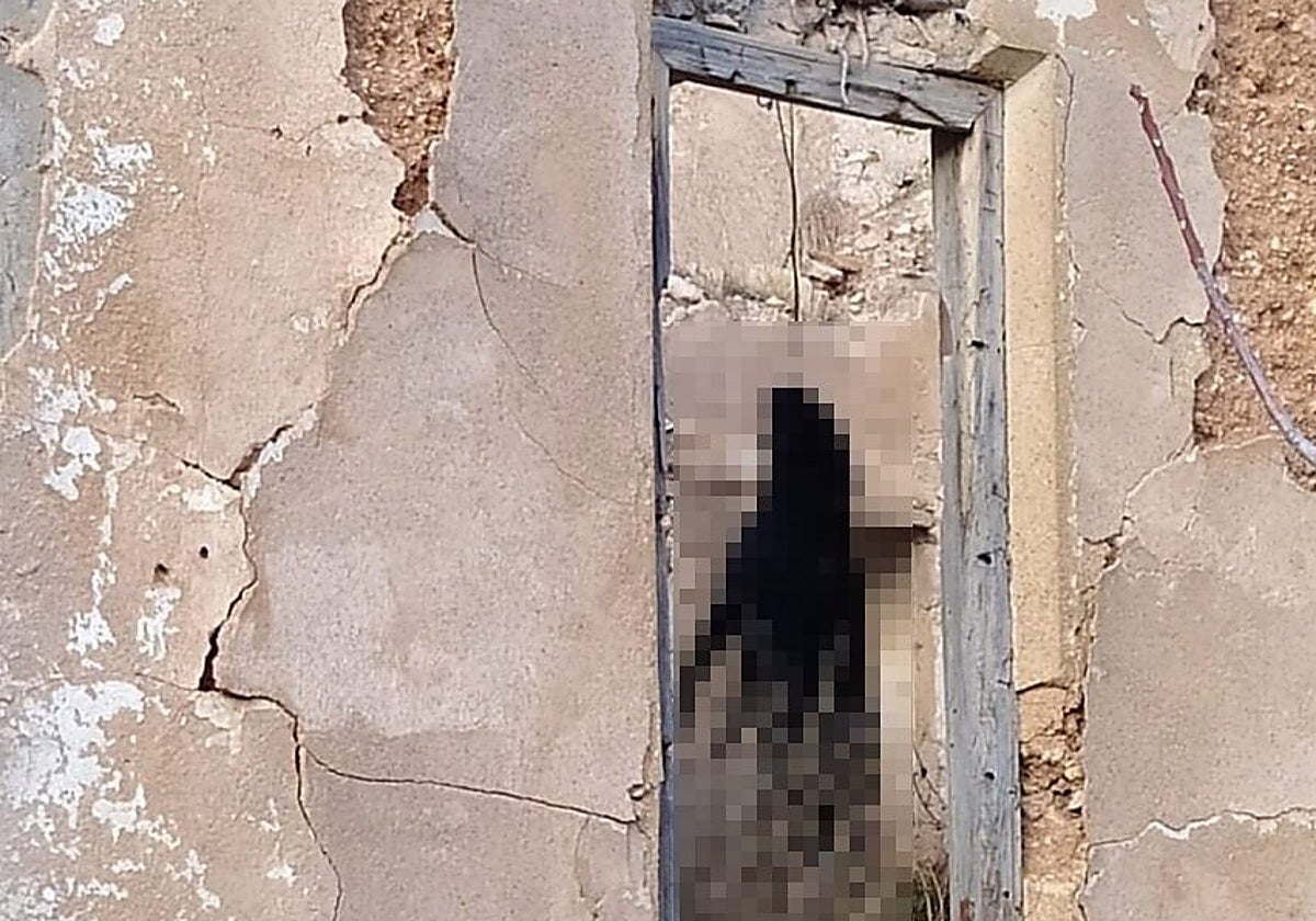 Fotografía del cuerpo de Simba tras ser hallado por miembros de una protectora