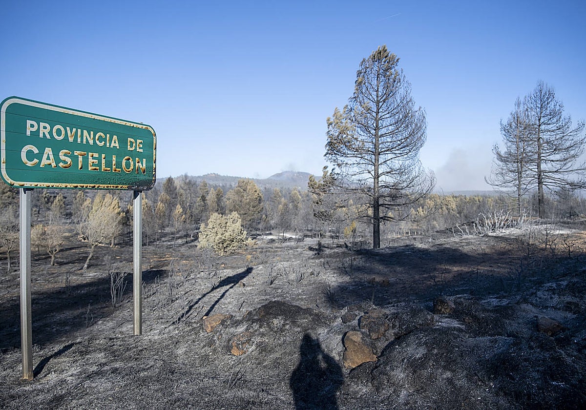 Vista del incendio desde el inicio de la provincia de Castellón