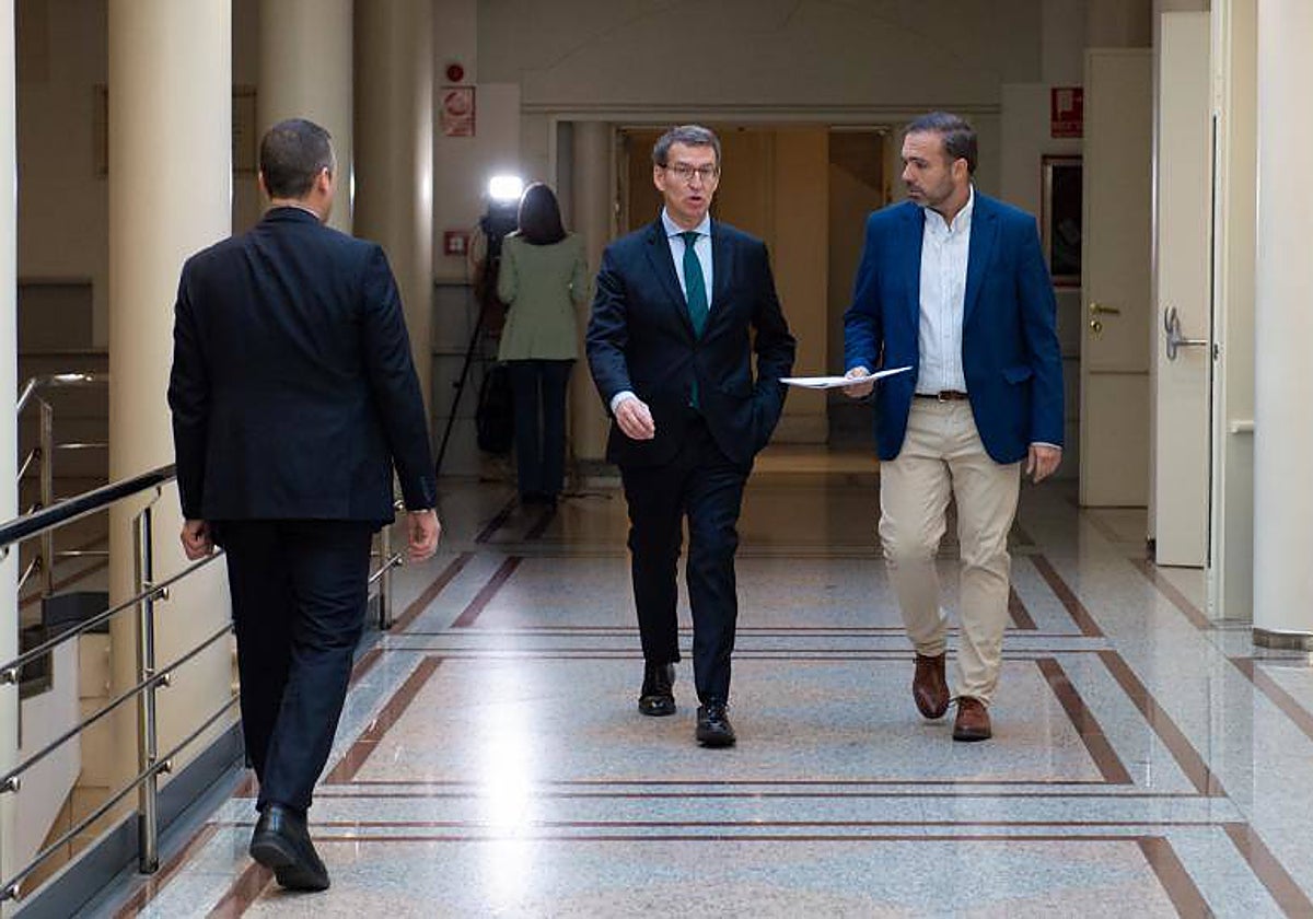 El presidente del PP, Alberto Núñez Feijóo, el miércoles en los pasillos del Senado