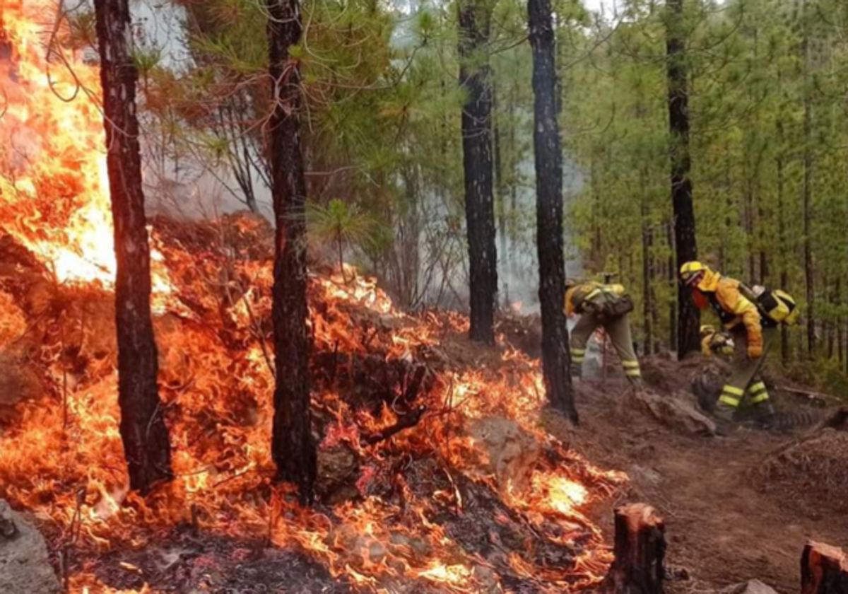 Foto de archivo del incendio forestal de Los Realejos del pasado verano