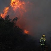 Más de 1.600 hectáreas quemadas en Galicia en la primera ola de incendios del año