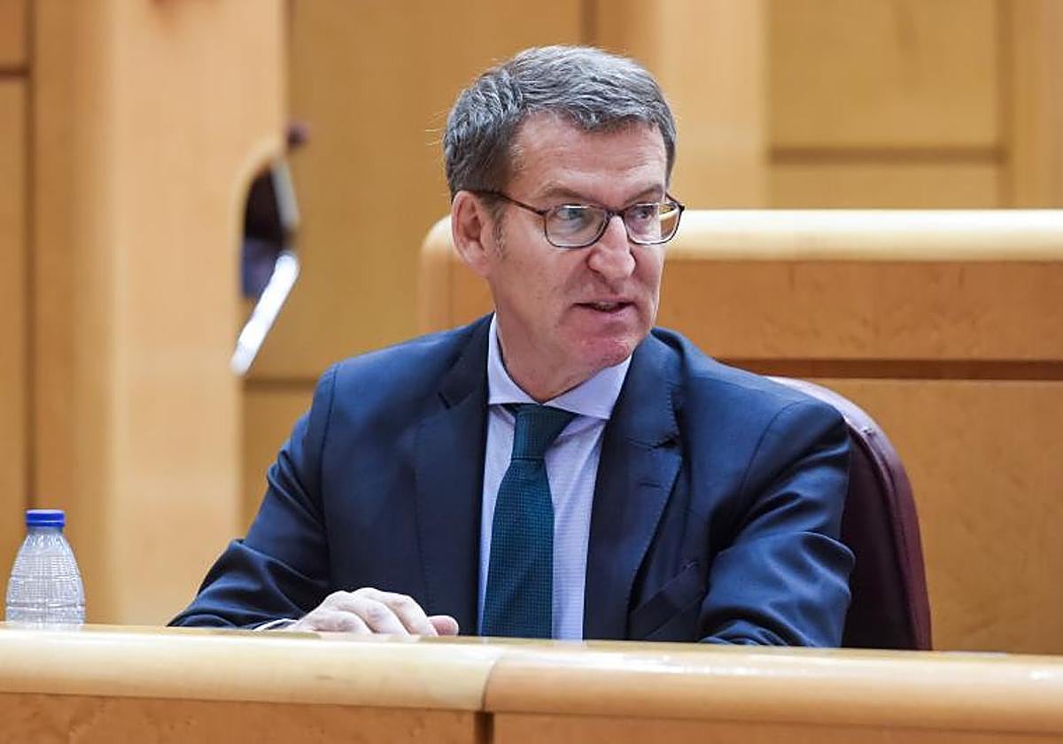 El presidente del PP, Alberto Núñez Feijóo, en el Senado