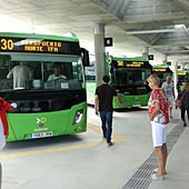 Roba una guagua en Puerto de la Cruz y se defiende a mordiscos: «¡Que se lleva la guagua!»