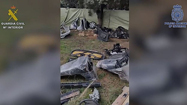 Piezas incautadas en una parcela durante la operación