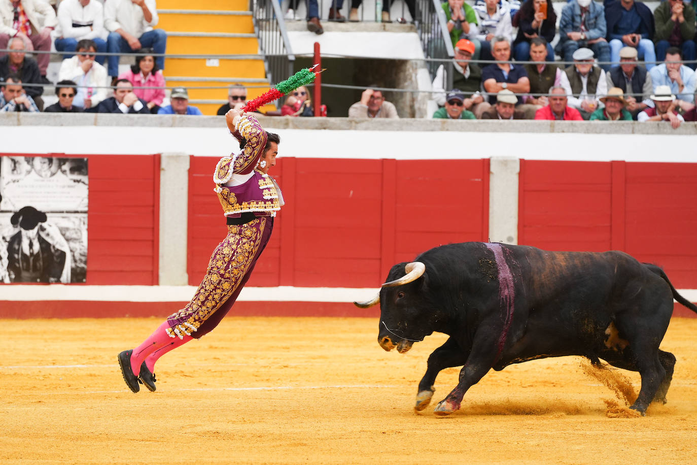 Toros | Las mejores imágenes del nuevo triunfo de Román en Pozoblanco