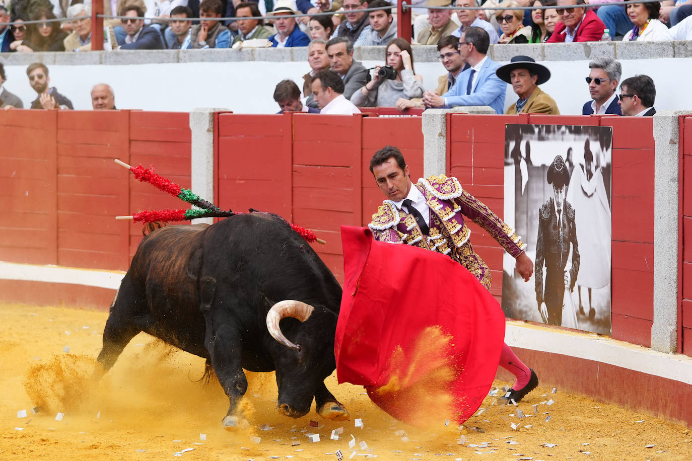 Toros | Las mejores imágenes del nuevo triunfo de Román en Pozoblanco