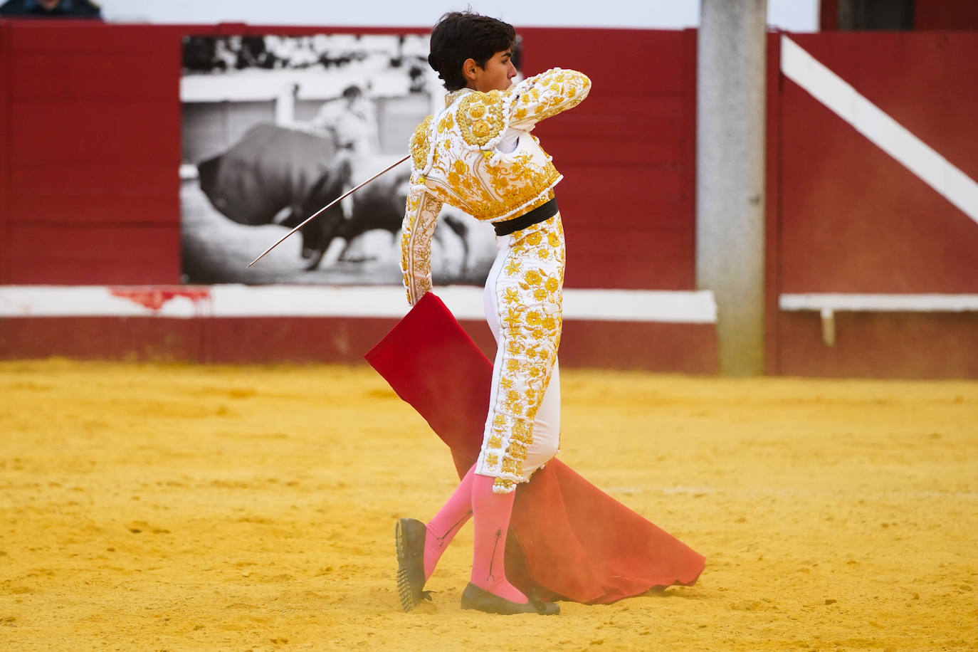 Toros | Las mejores imágenes del nuevo triunfo de Román en Pozoblanco