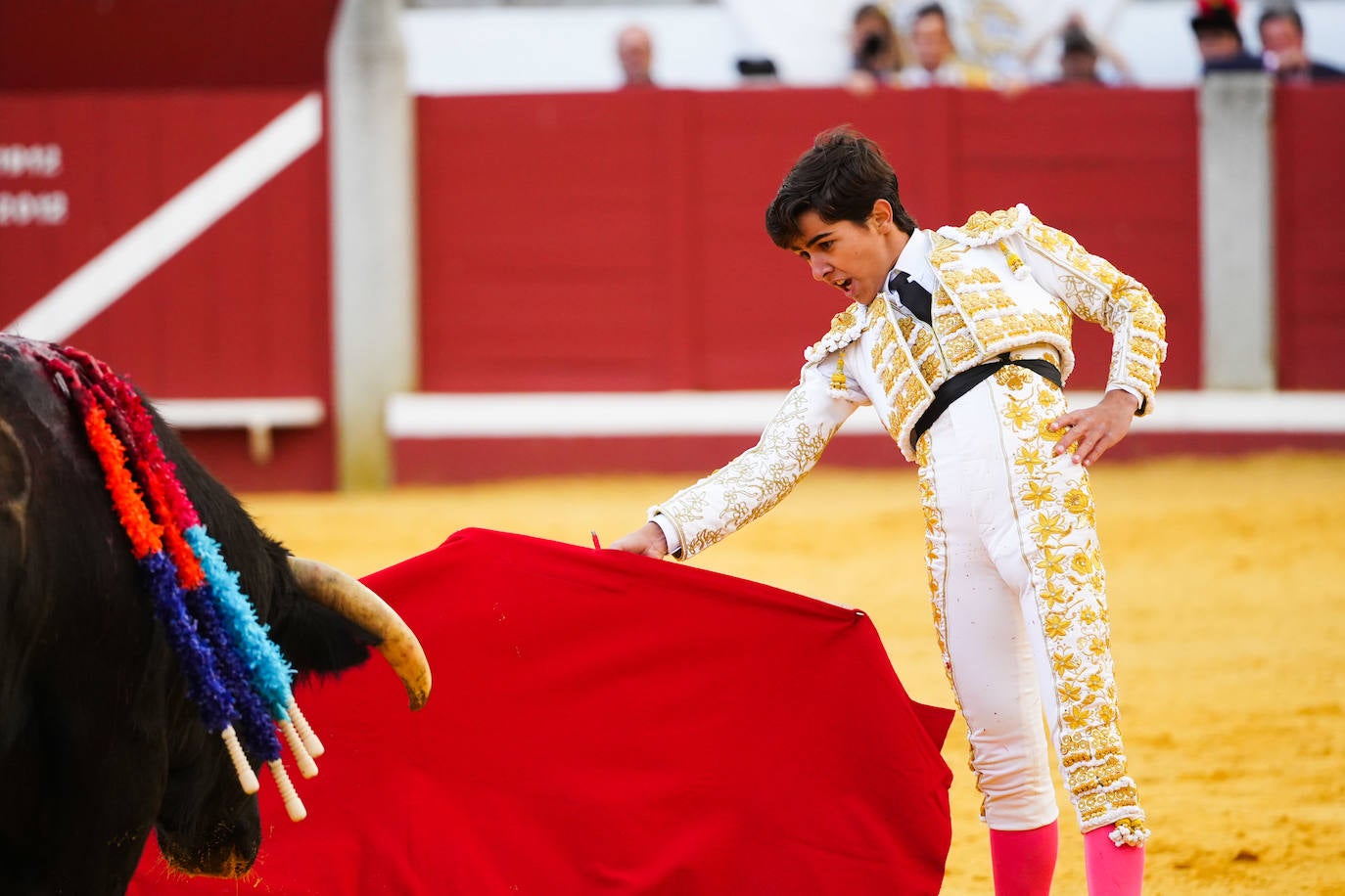 Toros | Las mejores imágenes del nuevo triunfo de Román en Pozoblanco