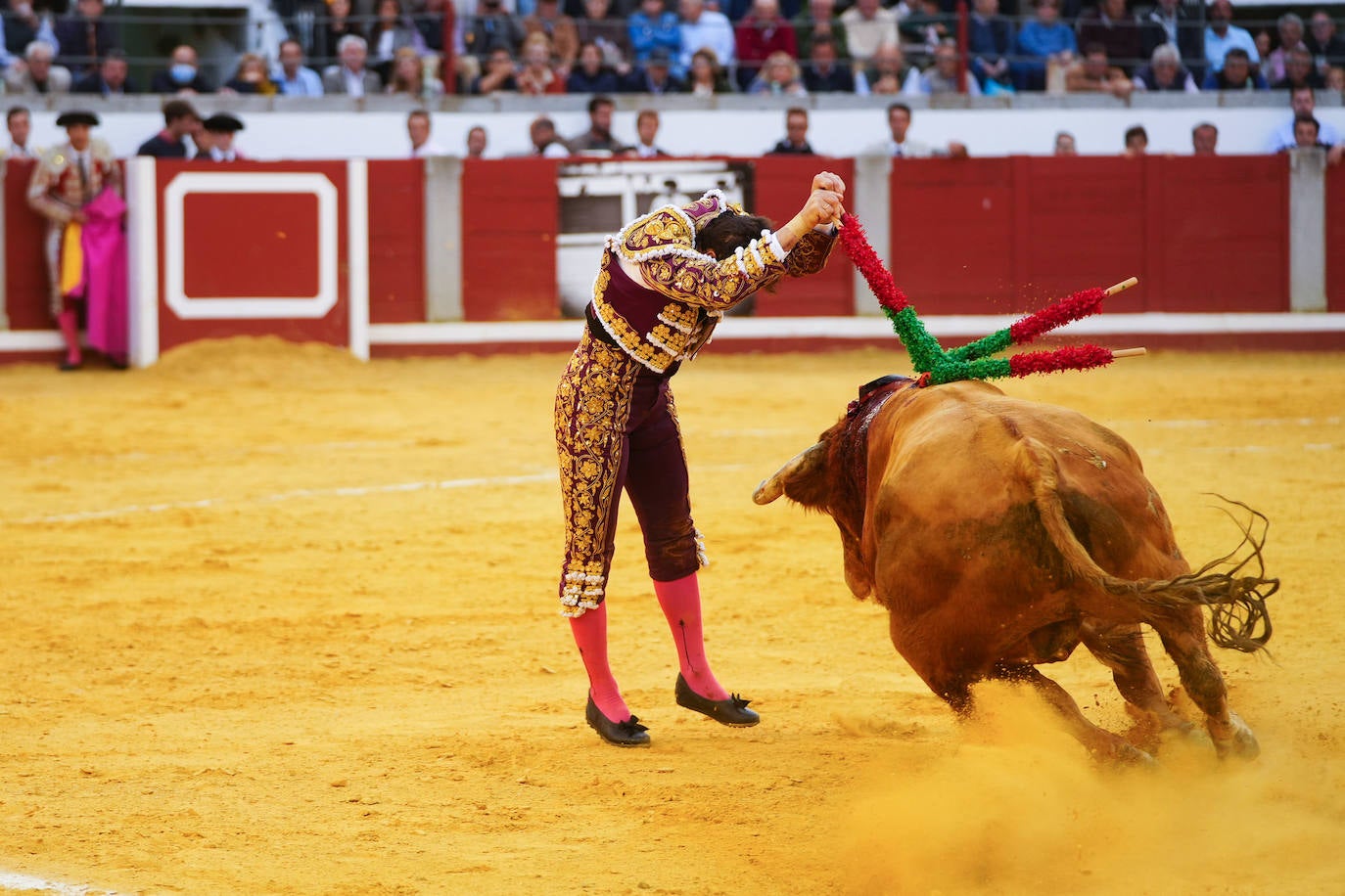 Toros | Las mejores imágenes del nuevo triunfo de Román en Pozoblanco