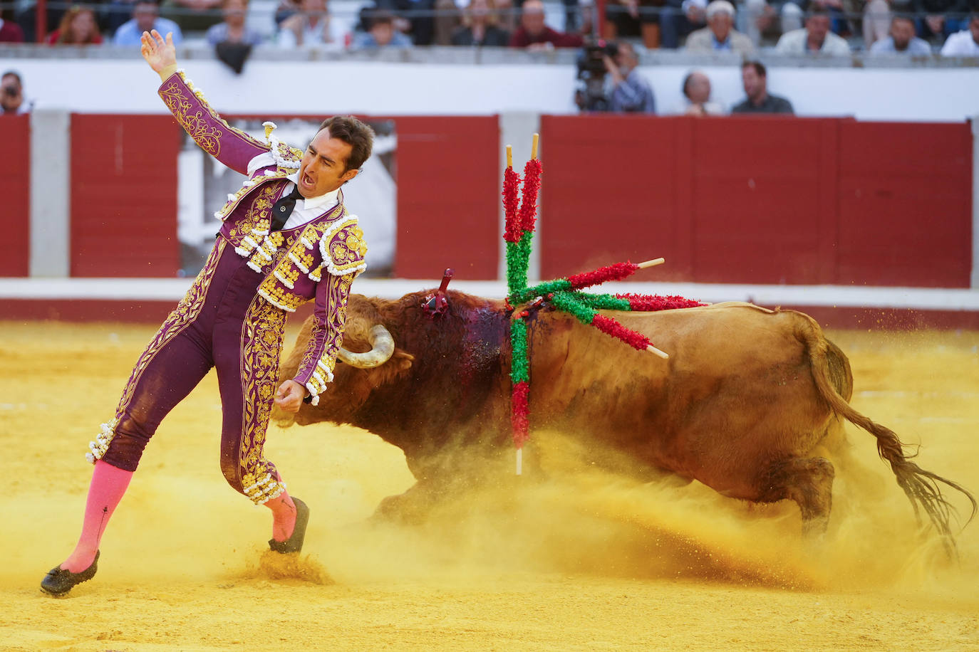 Toros | Las mejores imágenes del nuevo triunfo de Román en Pozoblanco
