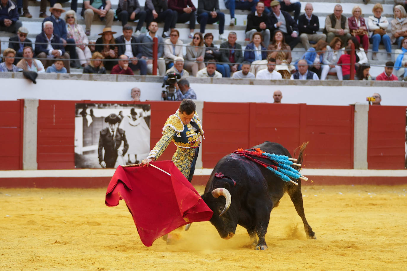 Toros | Las mejores imágenes del nuevo triunfo de Román en Pozoblanco