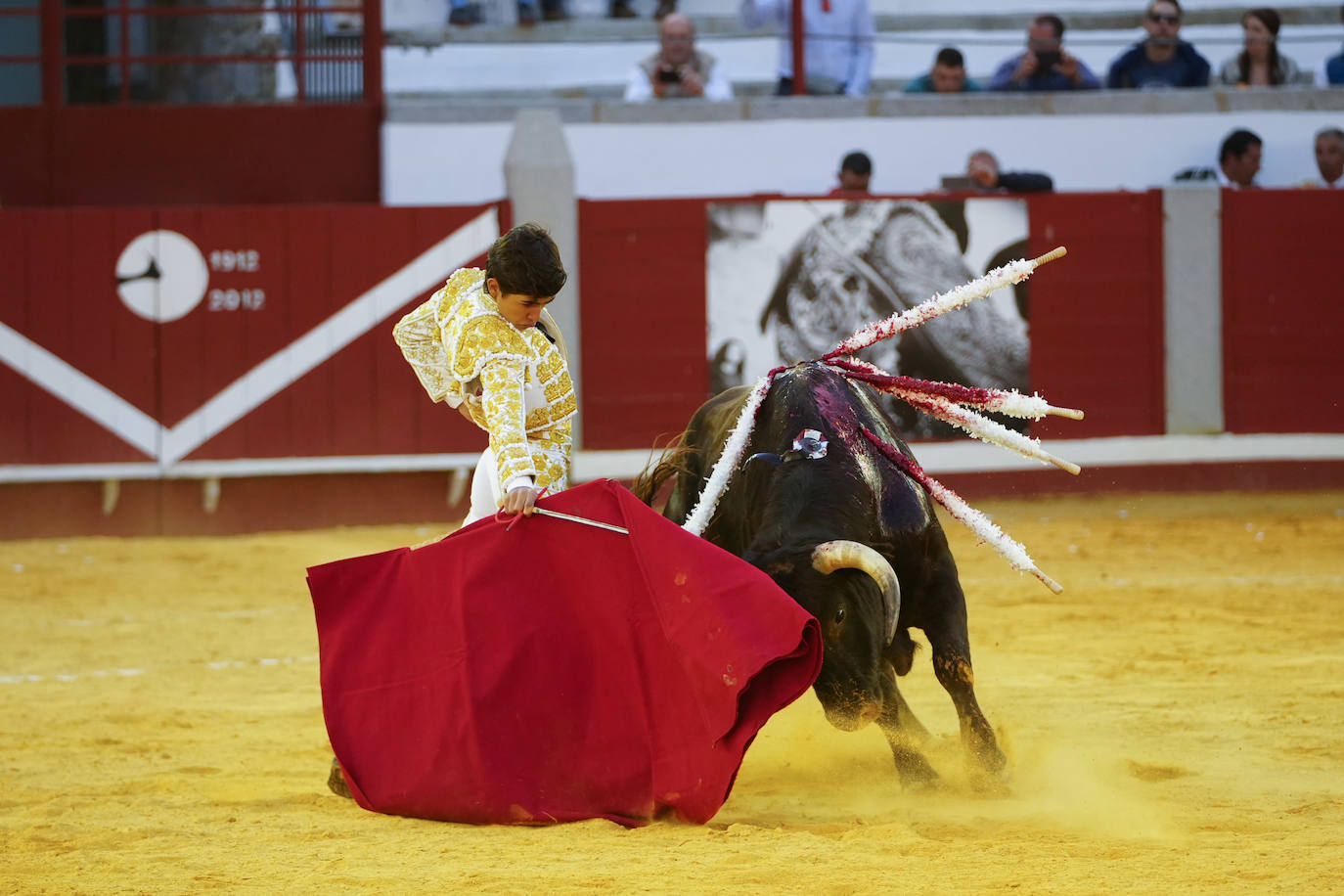 Toros | Las mejores imágenes del nuevo triunfo de Román en Pozoblanco