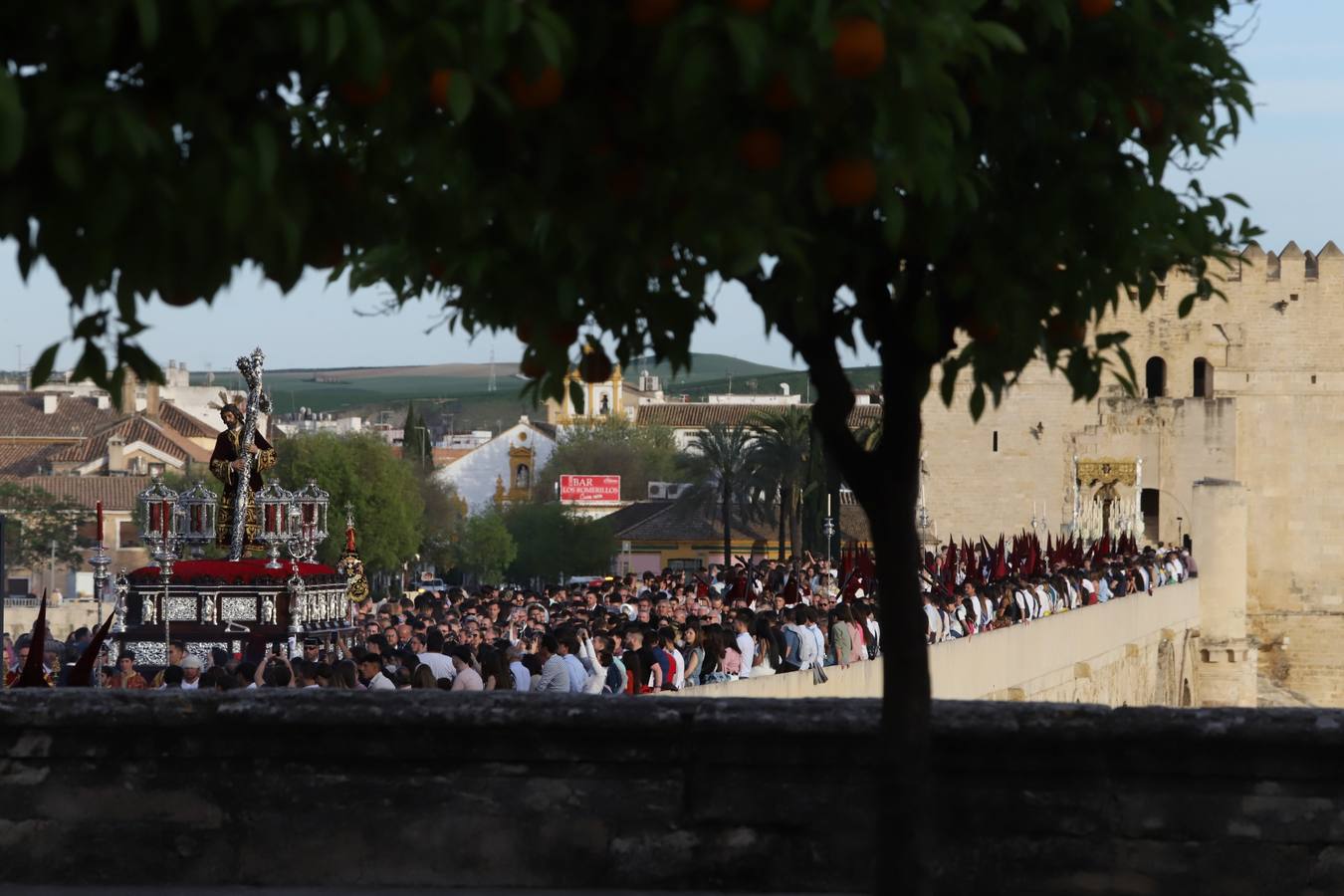 Lunes Santo | La solemne procesión de la hermandad de la Vera Cruz, en imágenes