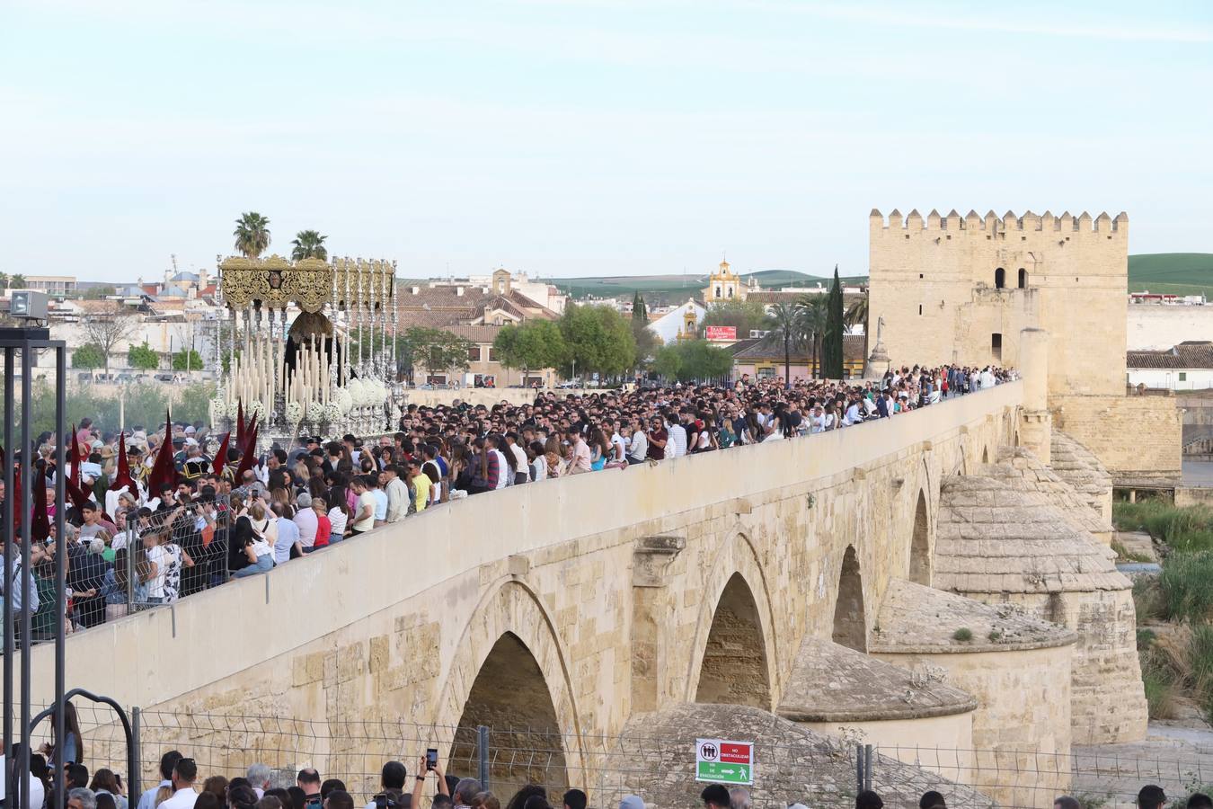 Lunes Santo | La solemne procesión de la hermandad de la Vera Cruz, en imágenes
