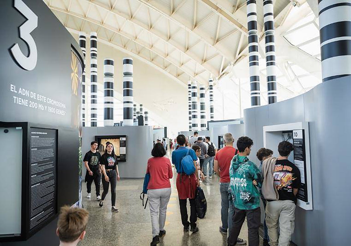 Ciudad de las Artes y las Ciencias de Valencia: nuevos horarios y ...