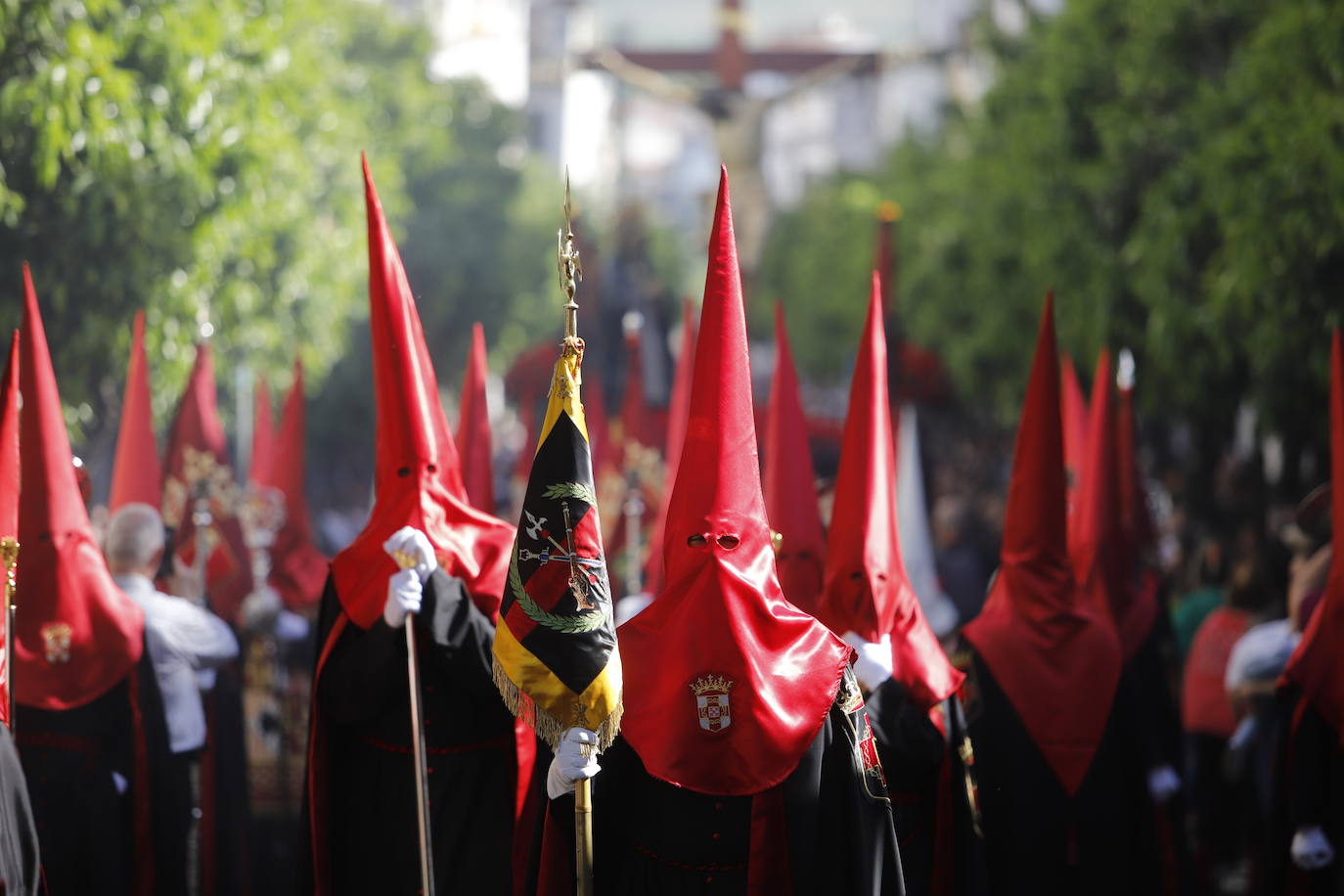 La identidad estética de la Caridad en su estación de penitencia, en imágenes